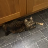 cheeselover90
