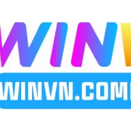 winvncompany1