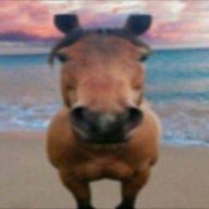 GooseBeHonkin34