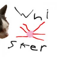 Whiskergame_YT_
