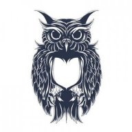 Night Owl