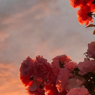 Garrison