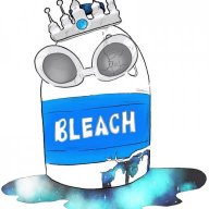 BleachKing