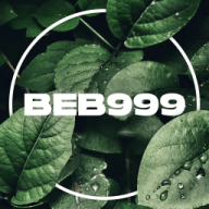 beb999