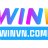 winvncompany1