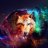 Wolve_22